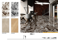 Porcelain tile cladding
