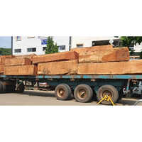 Pachyloba Square Logs Timber - Core Material: Plywood