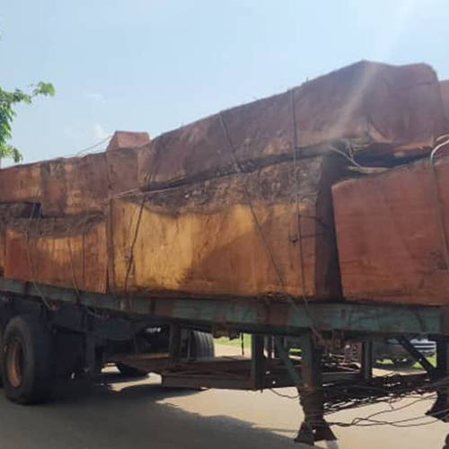 डॉसी स्क्वायर लकड़ी और टिम्बर लॉग्स