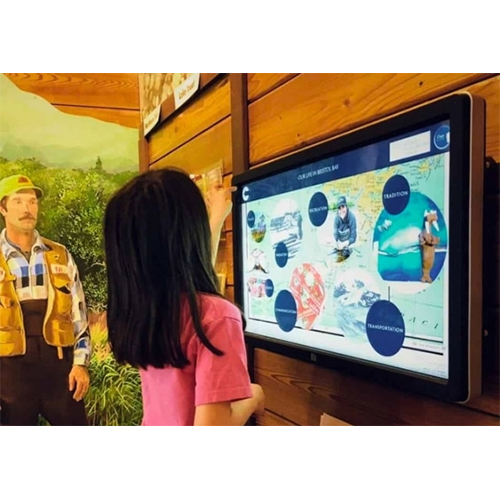 LED Displays