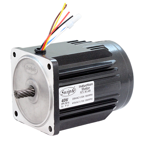40 W Induction Motor