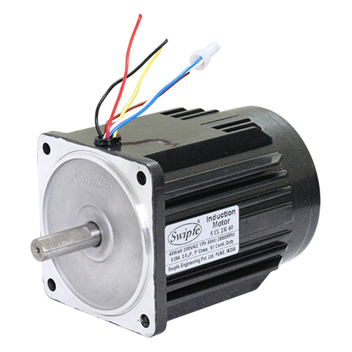 40W Induction Motor