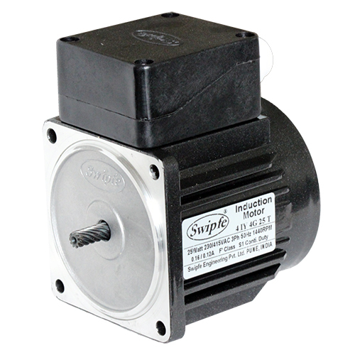 4IY4G25T Induction Motor