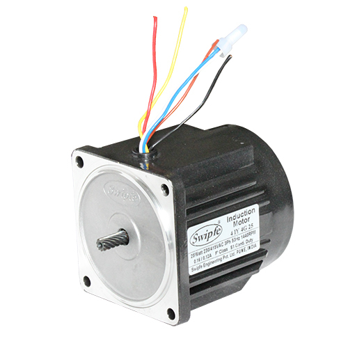4IY4G25L Induction Motor