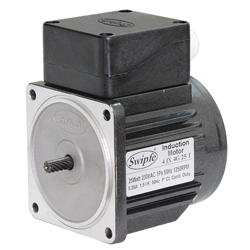 4IX4G25T Induction Motor