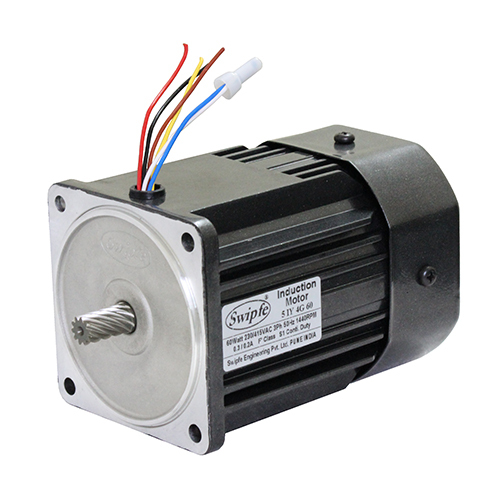 5IY4G60 Induction Motor