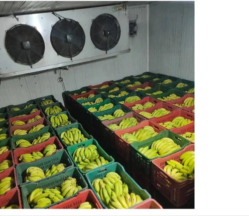Banana Ripening Cold Room