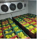 Banana Ripening Cold Room