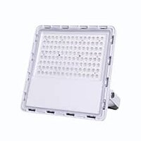 LED FLOOD LIGHT LENS