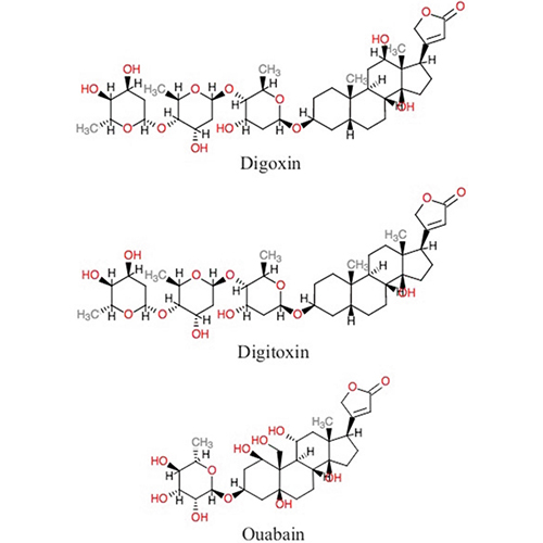 Digoxin API