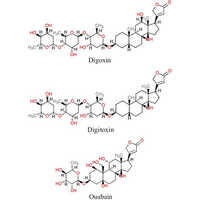 Digoxin API