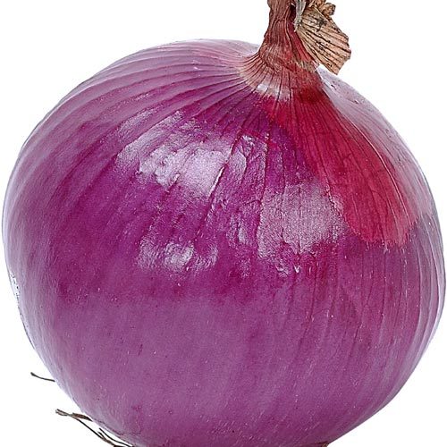 प्याज