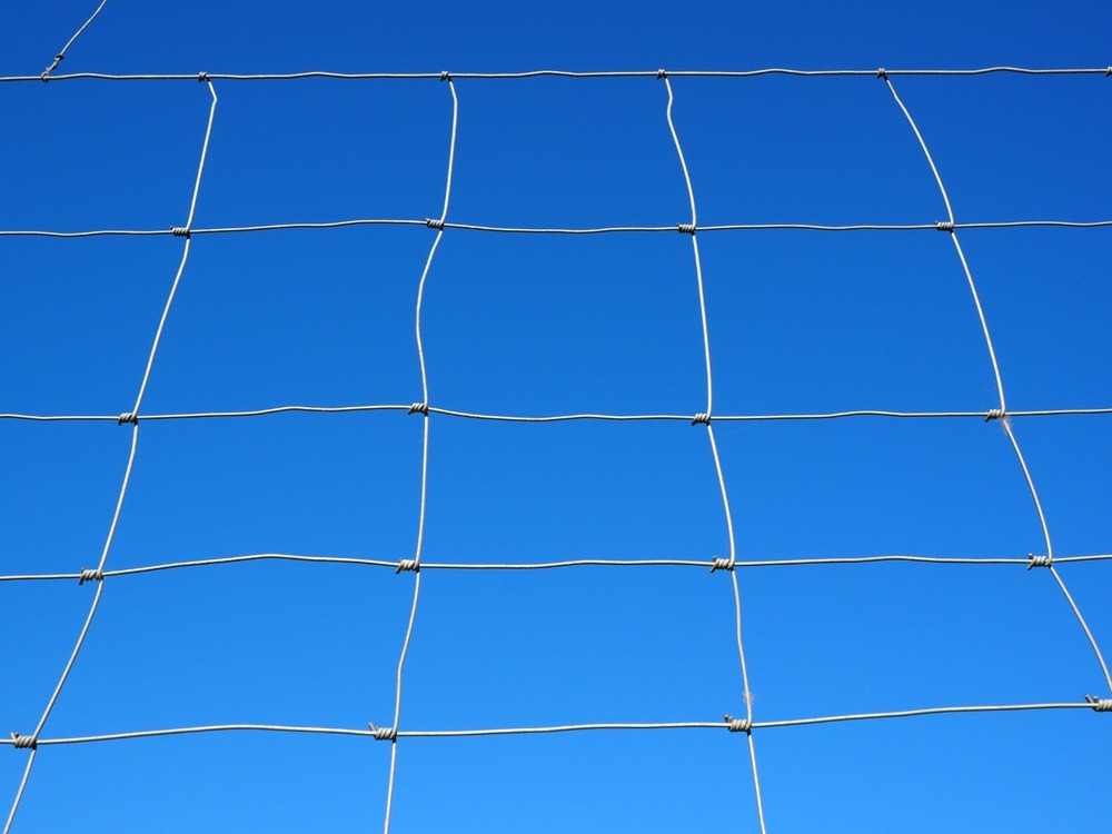 Goat Fencing - Color: Silver