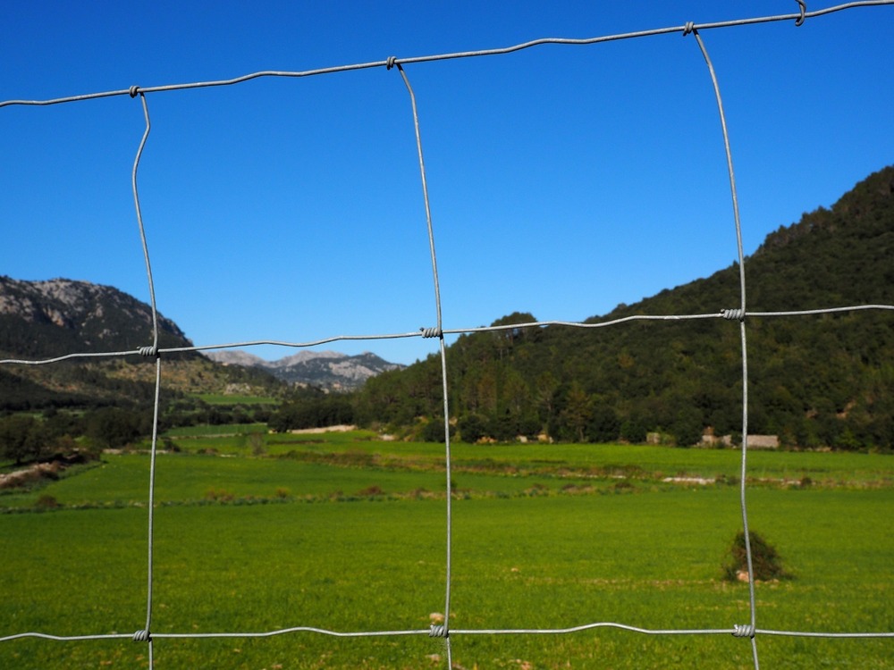 Goat Fencing