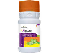 Tebuconazole 10%+Sulphur 65% WG Fungicide