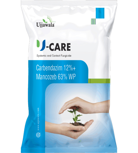 Carbendazim 12%+ Mancozeb 63% WP Fungicide