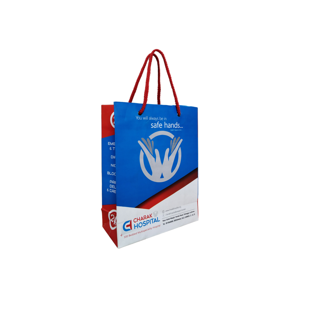 Paper Carry Bag - Color: Multicolor