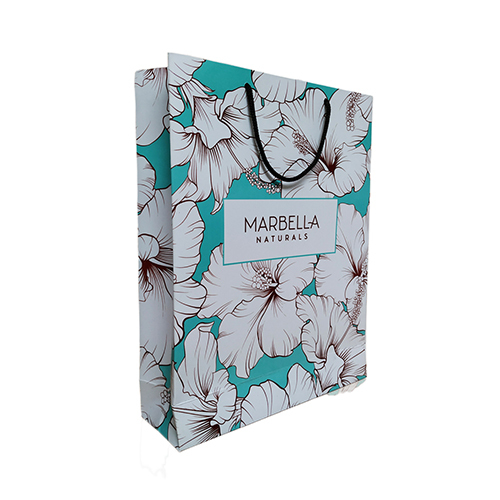 Paper Printed Carry Bag - Color: Multicolor