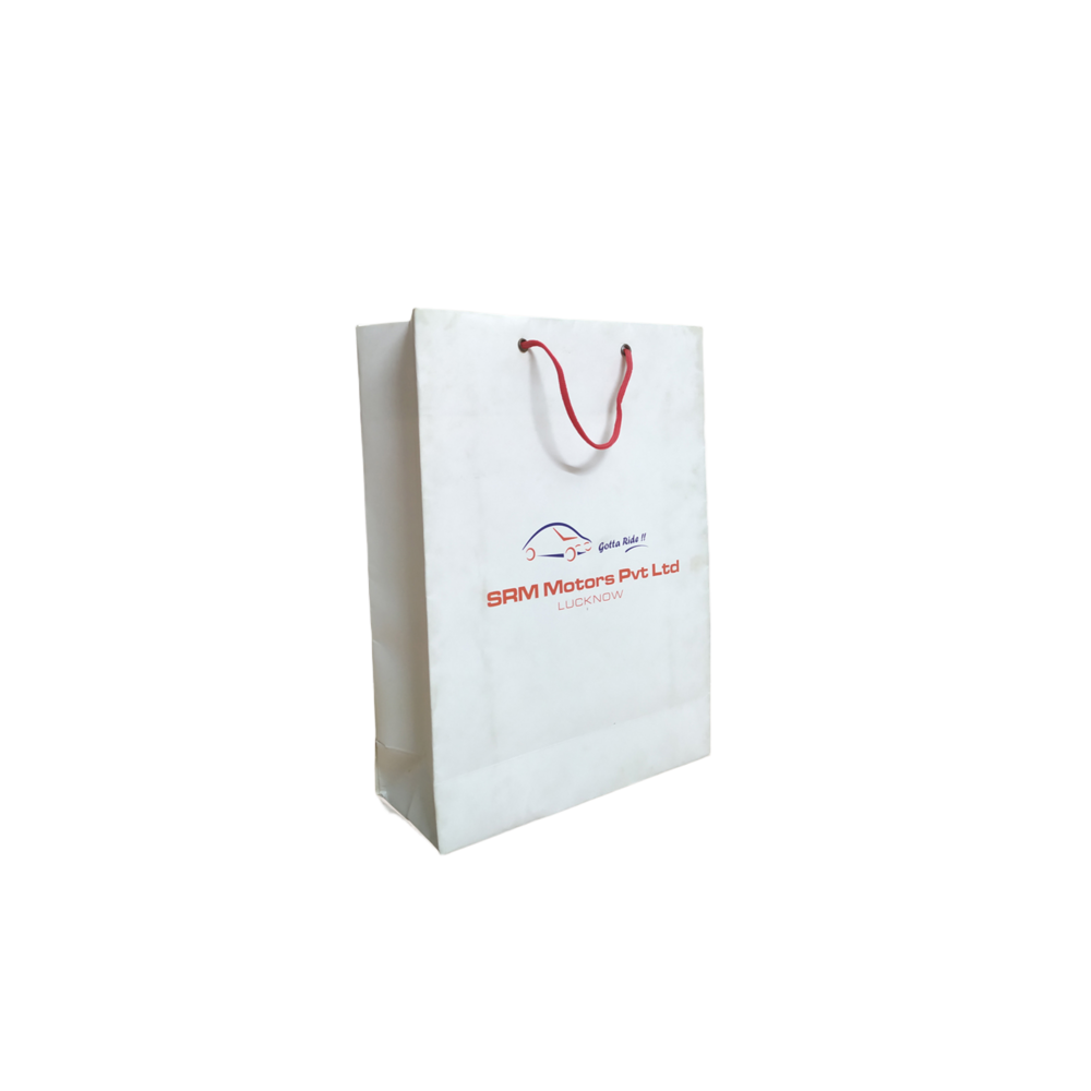 Paper Bag - Color: Multicolor