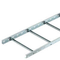 Ladder Cable Tray