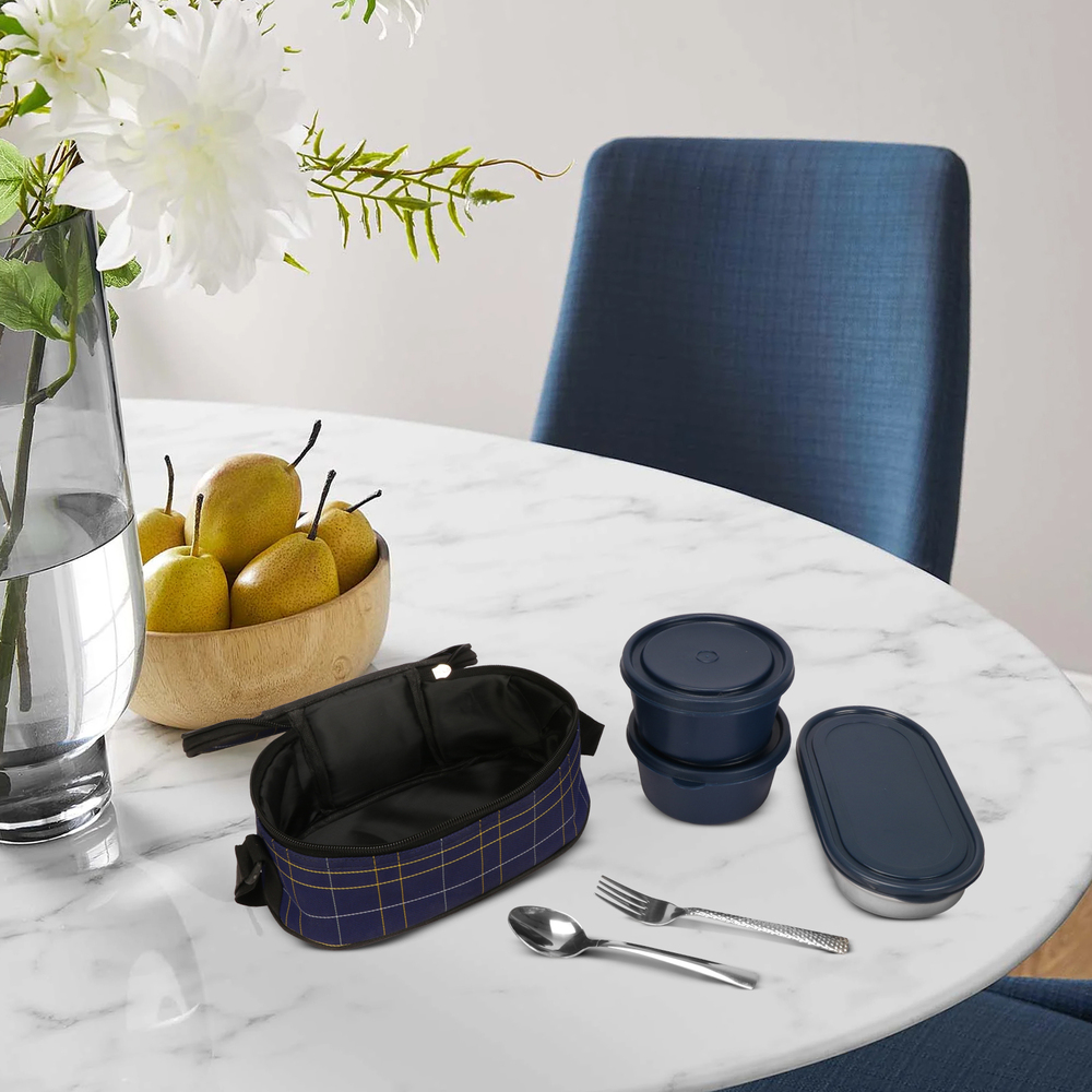 Microwave Safe Royal  lunch box , inside steel containers..