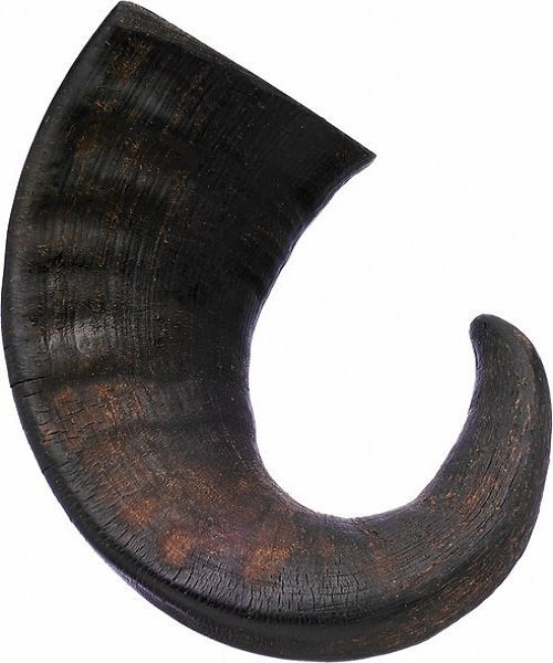 3 Inch Field Horn Chew With Meat Filled