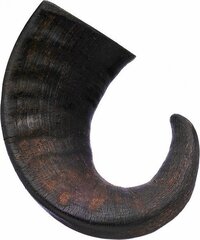 3 Inch Field Horn Chew With Meat Filled