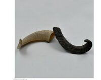 Dog Small Horn Filled With Meat