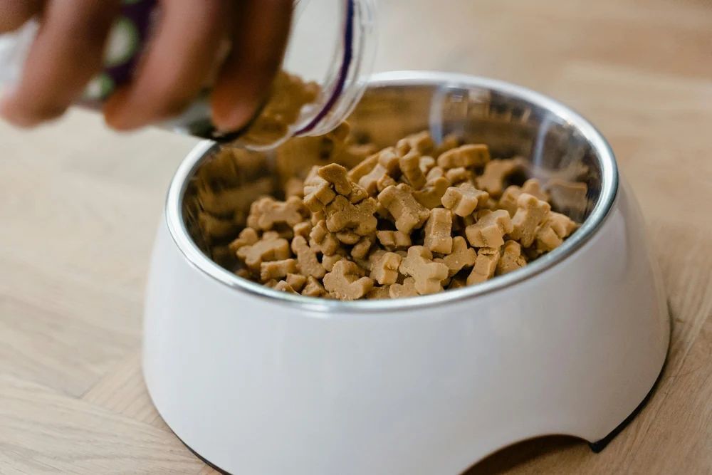 Chicken Dog Biscuits