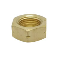 5 MM Brass Hexagonal Nut