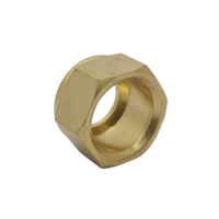 Brass 1-2 Hex Nut