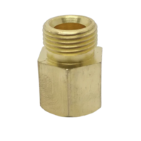 1-2 Inch Brass Adapter