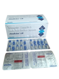 Amoxycillin Cloxacillin And Lactic Acid Bacillus Capsules