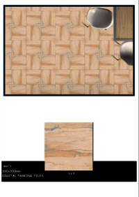Exterior porcelain tiles