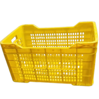 2830 टीपी 48 एल फल और सब्जियों के बक्से