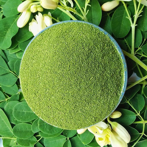 Moringa Powder - Color: Green