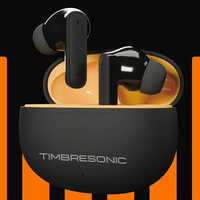 Timbersonic Premium Finish Wireless Earbuds