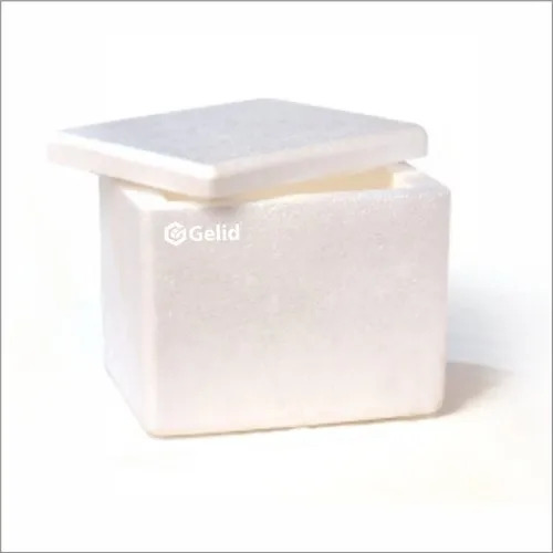 Molded Thermocol Box