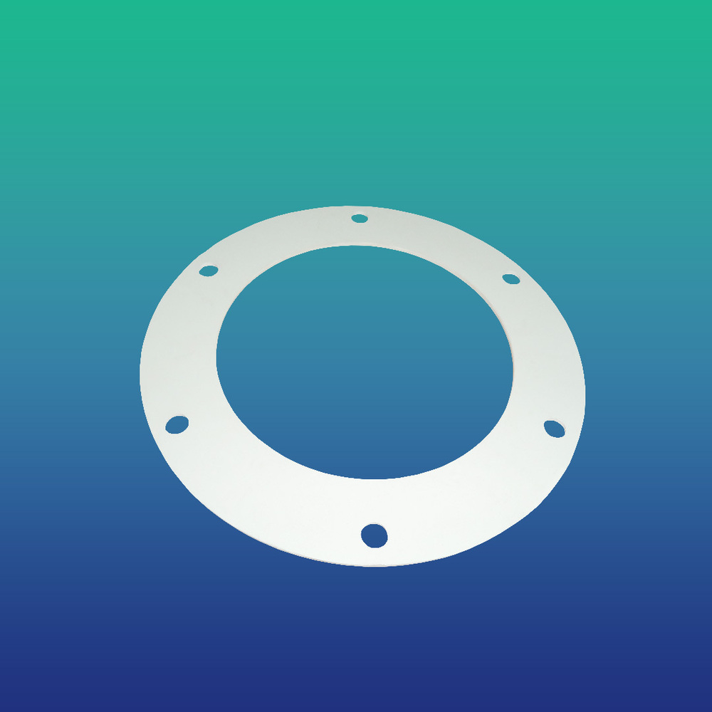 Washer Gasket
