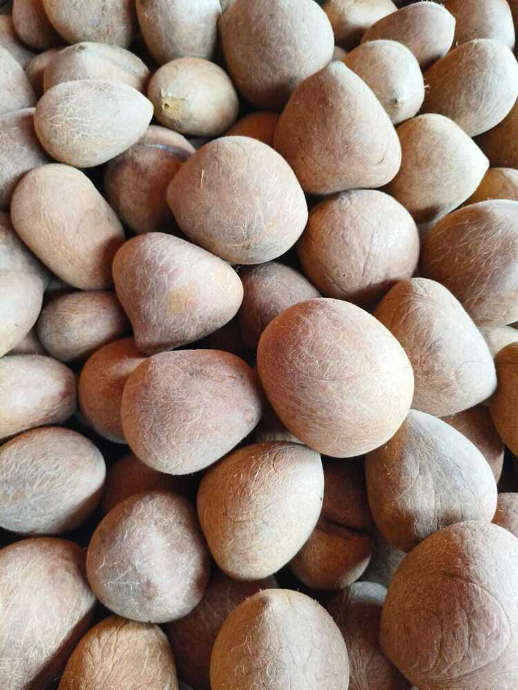 Dried Coconuts