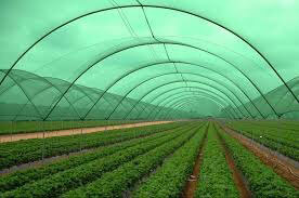 Agro Shade Net