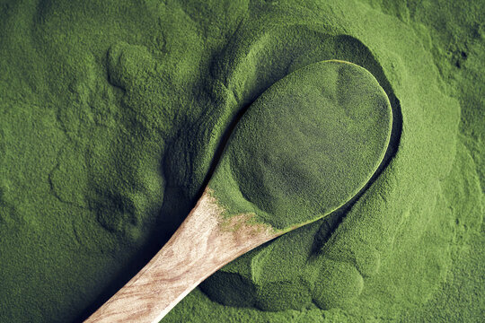 Spirulina Powder
