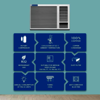 Blue Star 0.8 TR 3 Star-Non Inv Window AC (WFD309L)
