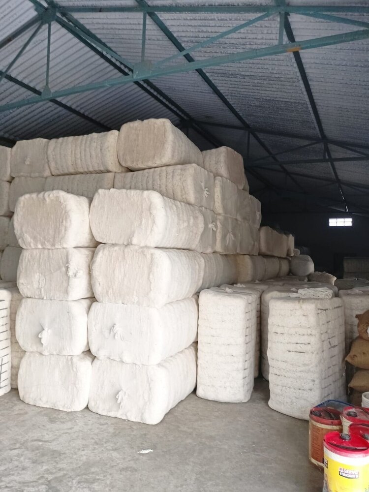 Pure Cotton Bales - Color: White