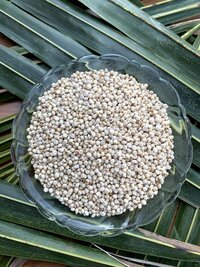 Organic Jowar