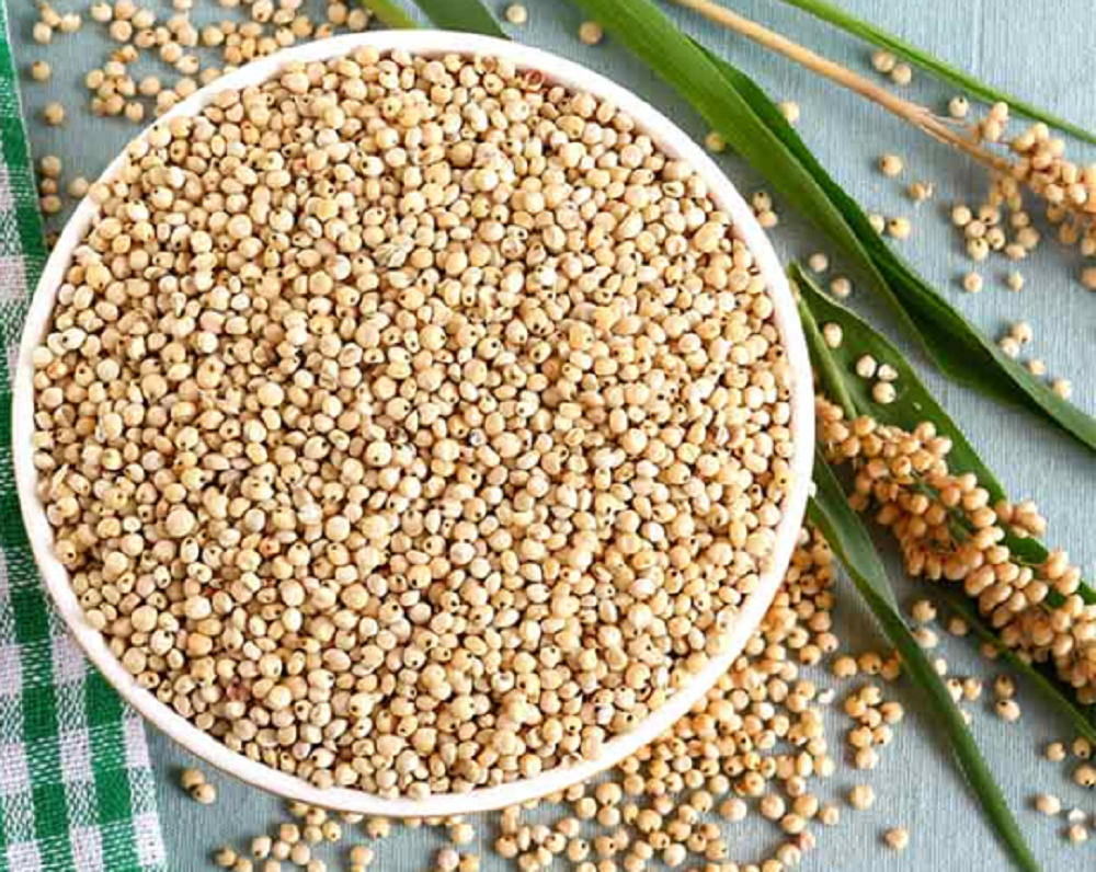 Organic Jowar