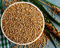 Organic Jowar