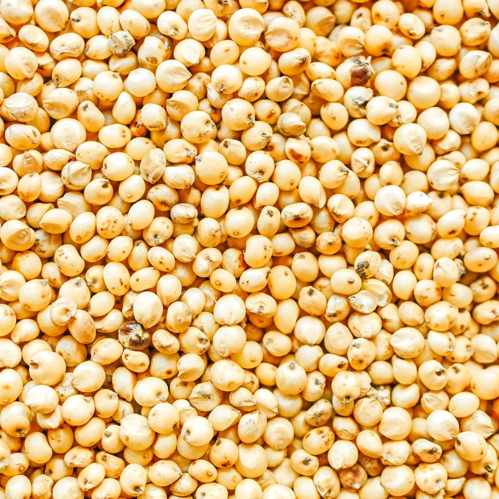 Organic Jowar