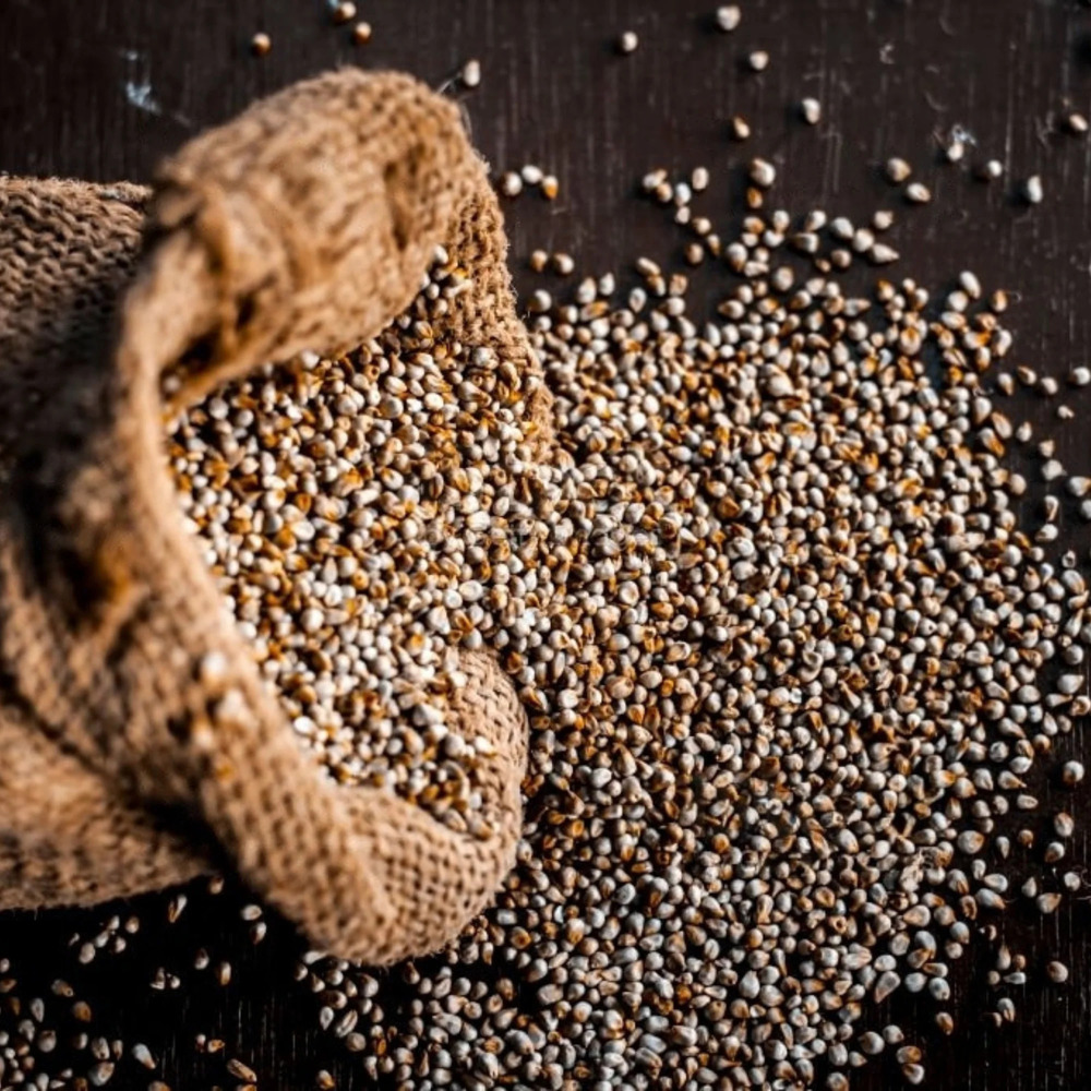 Organic Bajra