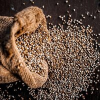 Organic Bajra